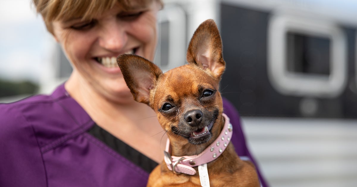 ASPCA Winds Down Disaster Response as Pets Are Reunited with Families in Arkansas ASPCA