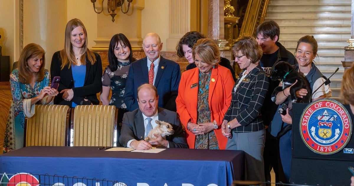 Colorado’s Major Win in the Fight Against Puppy Mills