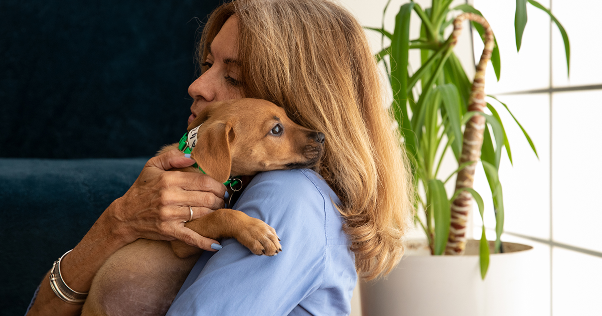 Attention New York Introducing The Covid 19 Pet Hotline Aspca Attention New York Introducing The Covid 19 Pet Hotline Aspca