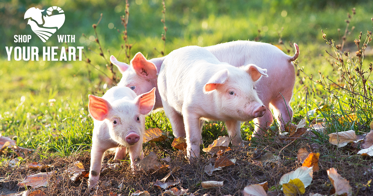 This Earth Day, Pledge to Help the Planet and Farm Animals | ASPCA