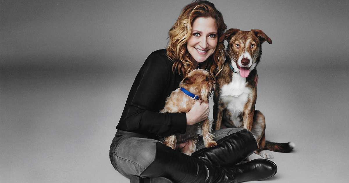 Aspca Honors Edie Falco With The 21 Puppy Advocate And Protector Award Aspca