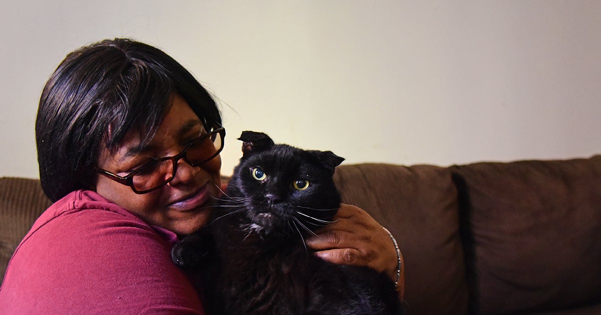 Free Pet Food a Pathway to Help for Harlem Cat and His Mom ASPCA