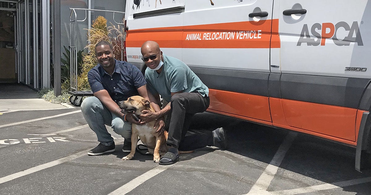 A True “Kodak” Moment Dog and Owner Reunited After A Year Apart ASPCA