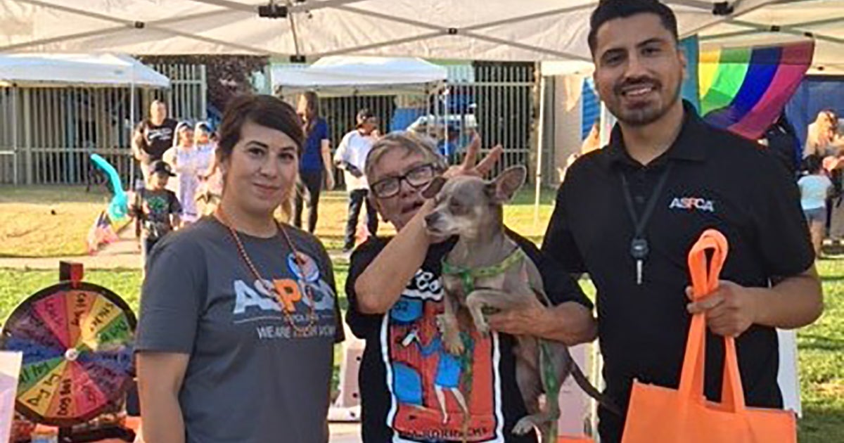 Aspca Events ASPCA Helps People and Pets at National Night Out | ASPCA