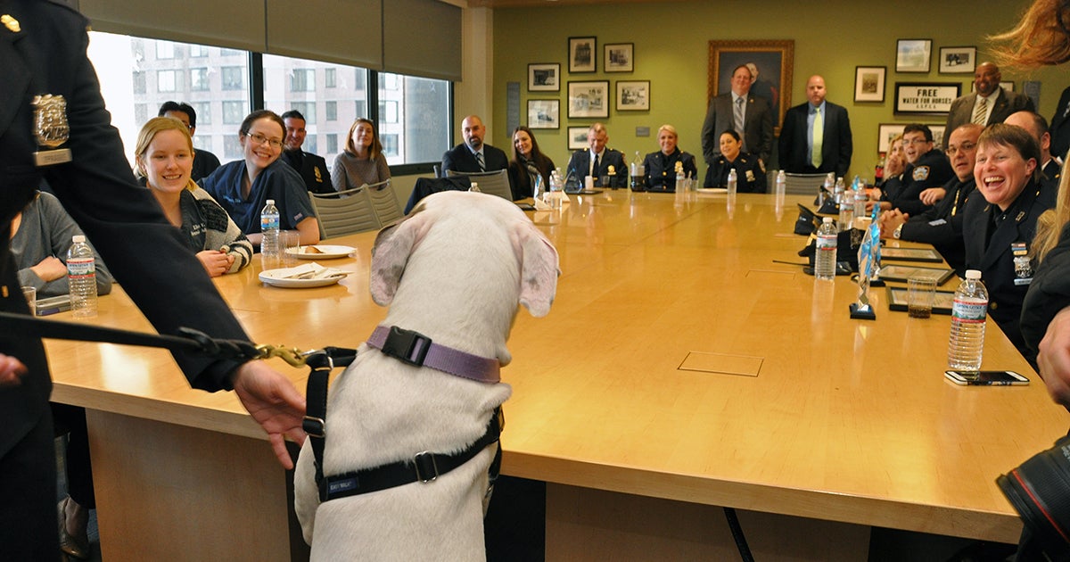 ASPCA Honors New York’s Finest for Service to City’s Vulnerable Animals