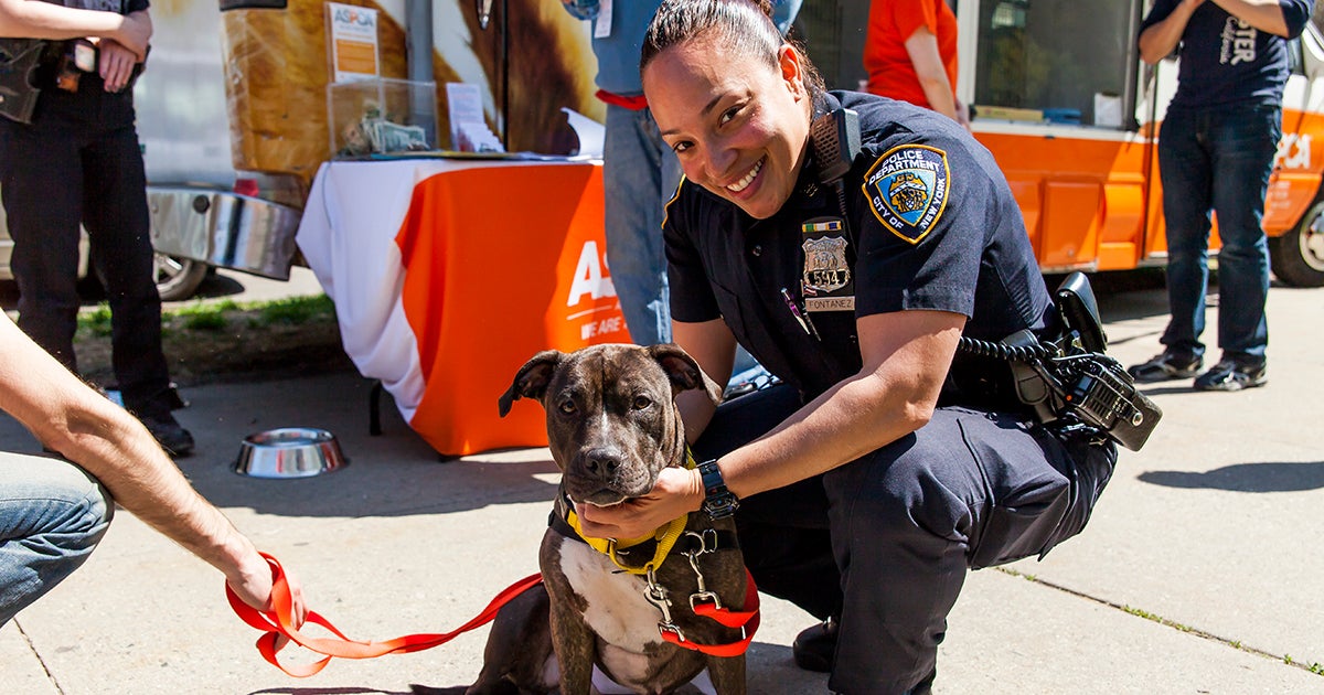 Queens, New York, District Attorney Establishes Animal Cruelty