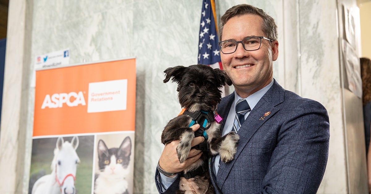 Lawmakers Put Puppies Above Politics at Paws for Love Events! | ASPCA