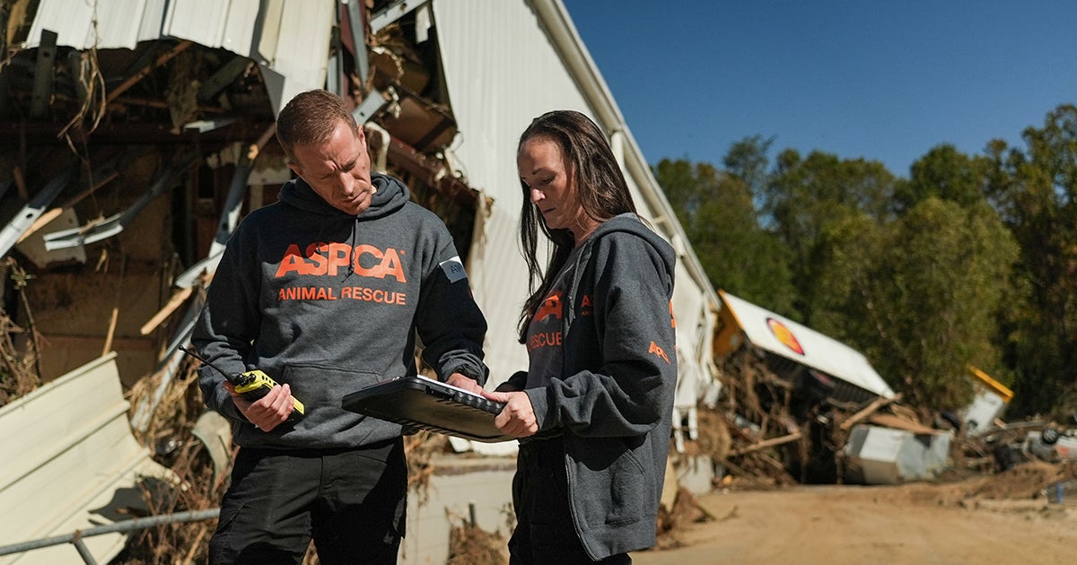 How Volunteers Help Power Animal Rescue