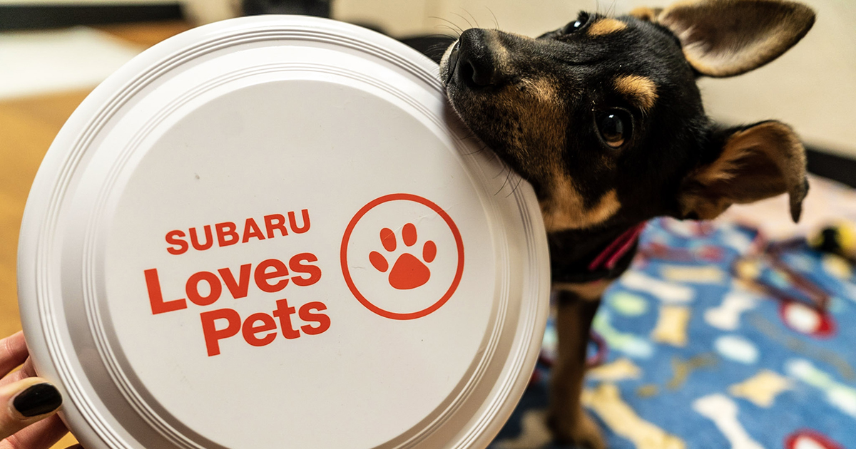 The ASPCA & Subaru Loves Pets Grant Program Helps Find Homes for