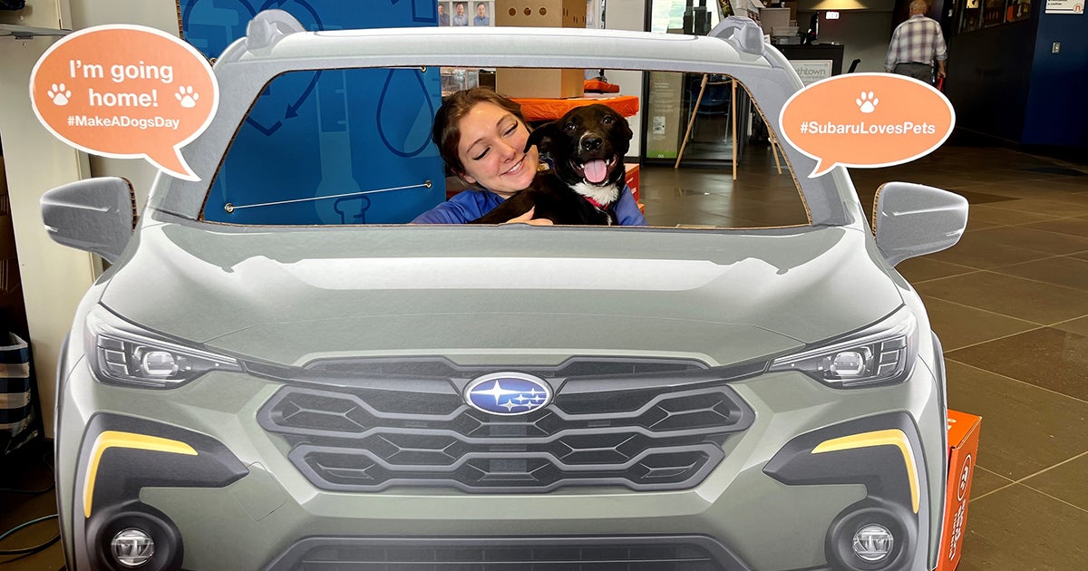 ASPCA Grant Program Supports Vulnerable Animals with a Helping Hand ...