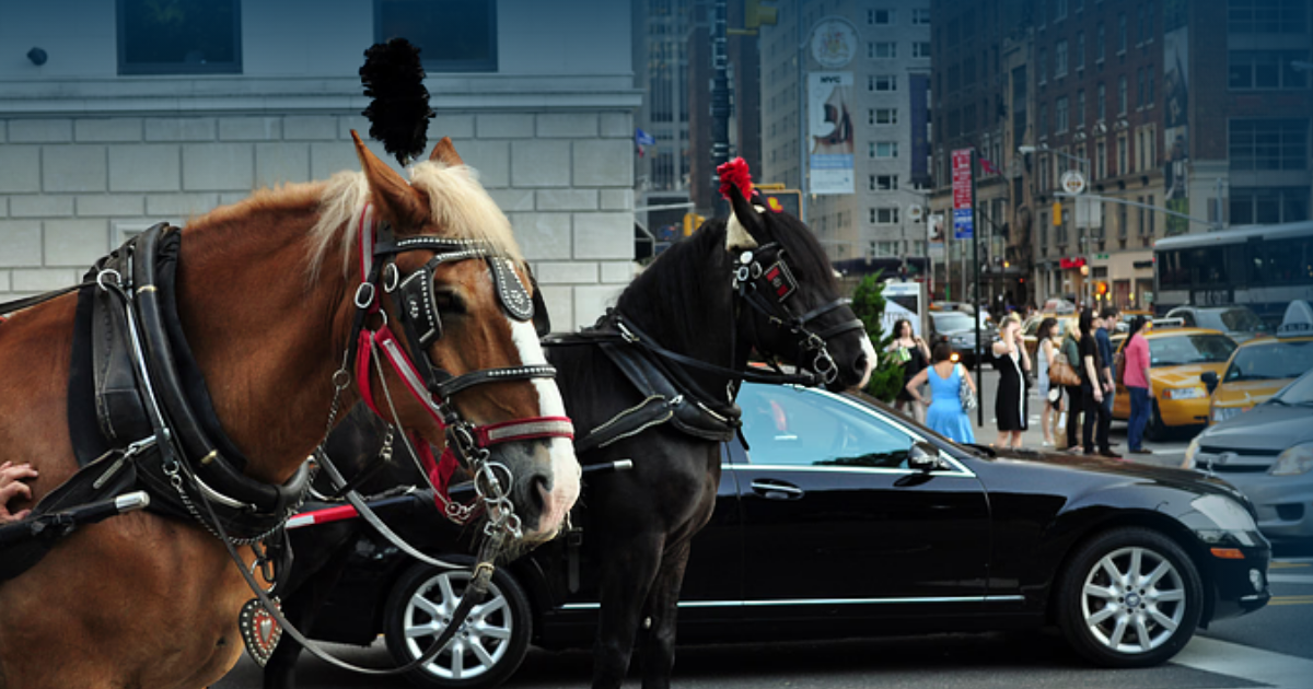 A Historic Win: New York City Passes Law to End Horse-Drawn Carriages ...