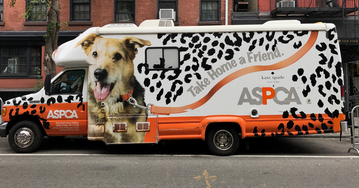 The ASPCA and kate spade new york Team Up for a Very Special Happy Tail |  ASPCA