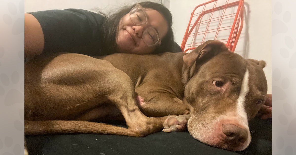 How Foster Caregiver, Chynna, Became the Hero in This Abused Dog's Story |  ASPCA