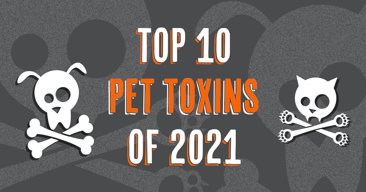 The Top 10 Pet Toxins of 2021 ASPCA