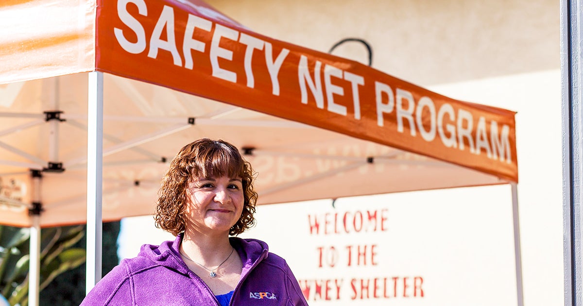 ASPCA on the West Coast: Making a Difference for L.A.’s Pets | ASPCA