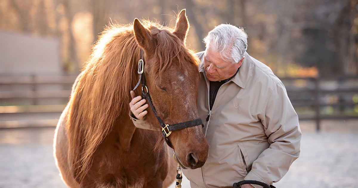 A Golden Choice; Adopt a Senior Horse! ASPCA