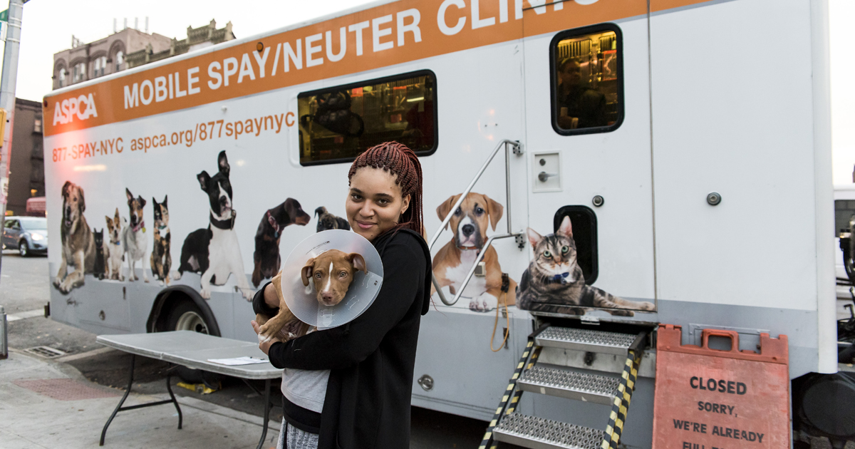 Preventing Animal Homelessness A Milestone Moment Aspca