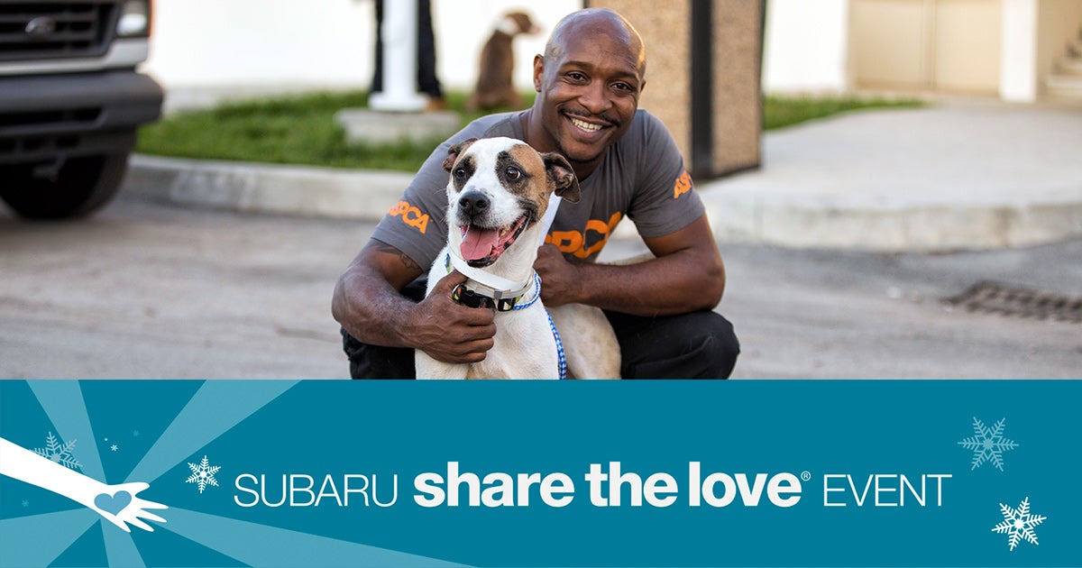 Aspca Events Subaru Share the Love Event: Check Out Fee-Waived Pet Adoption Events ...