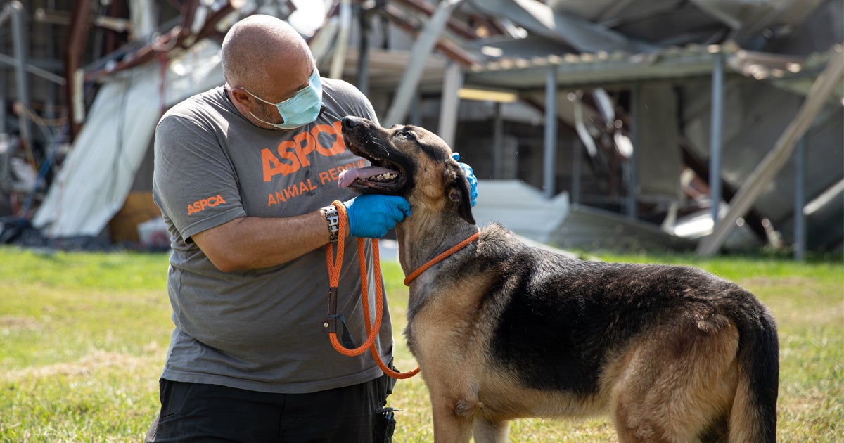 After Nine Years of Delay and Congressional Pressure, the USDA Acts to