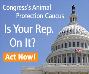 Congress's Animal Protection Caucus
