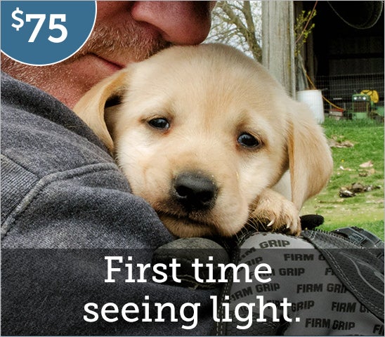 first time in the light