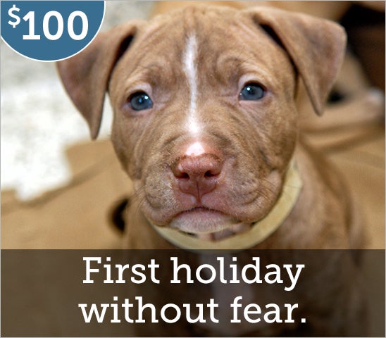 first holiday without fear