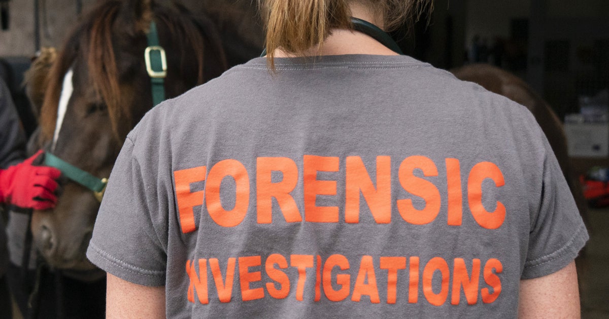Forensic Investigations Animal Cruelty Crime Scenes ASPCA