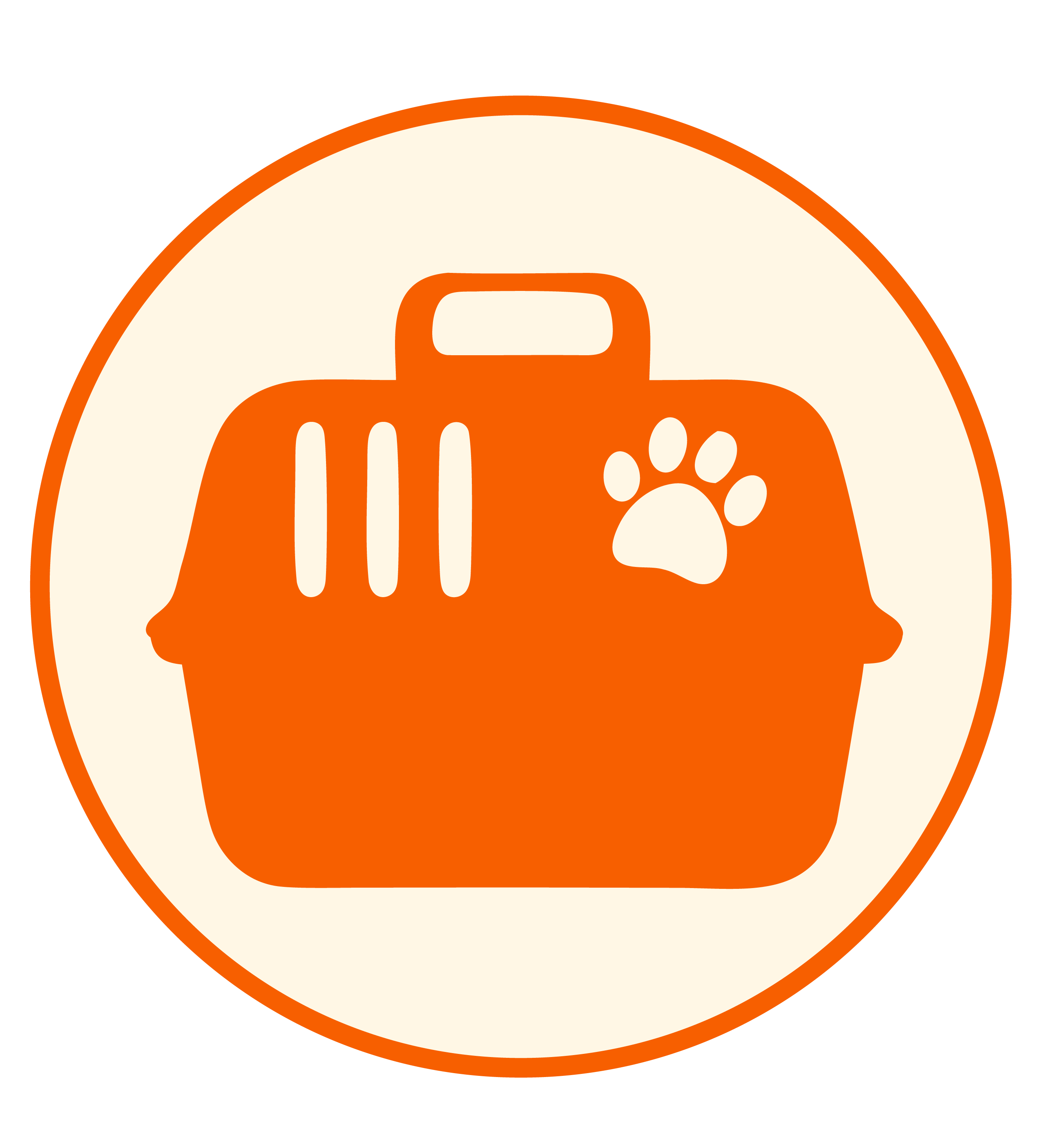 Foster an animal