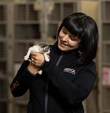 Gemma smith holding a kitten