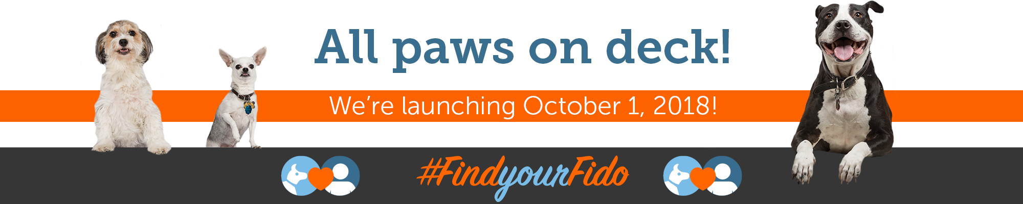 Find Your Fido - Coming Soon