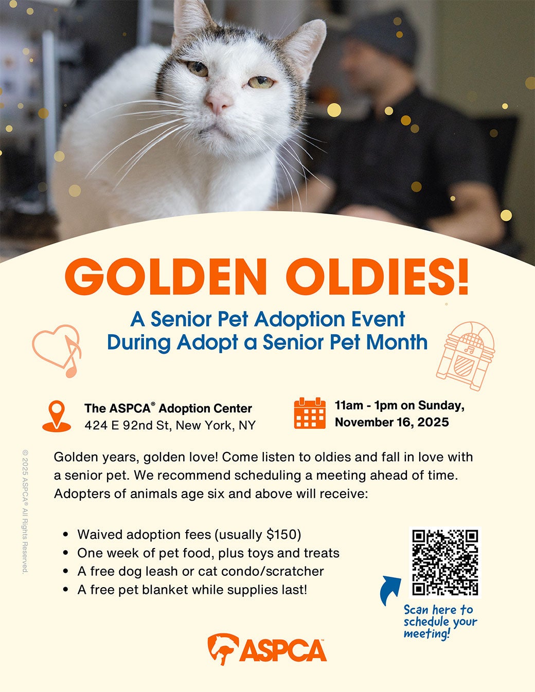 Golden Oldies Senior Pet Adoption Event flyer