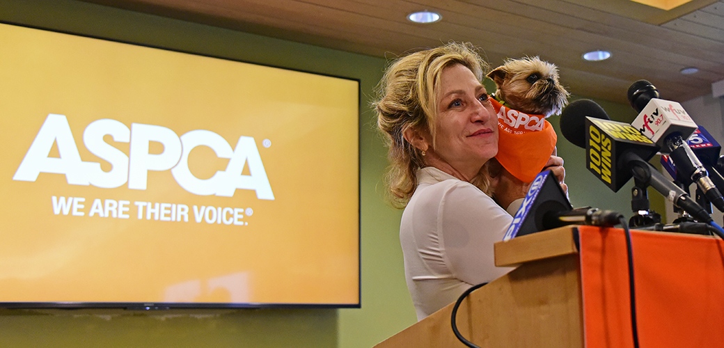 Edie Falco holding a small dog at a podium