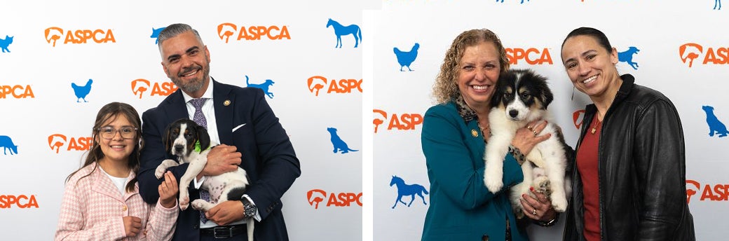 members of congress with puppies