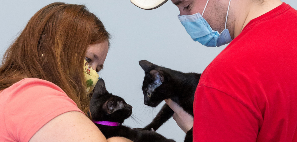 Our Nationwide Initiative Helps Vulnerable Animals in a Pandemic