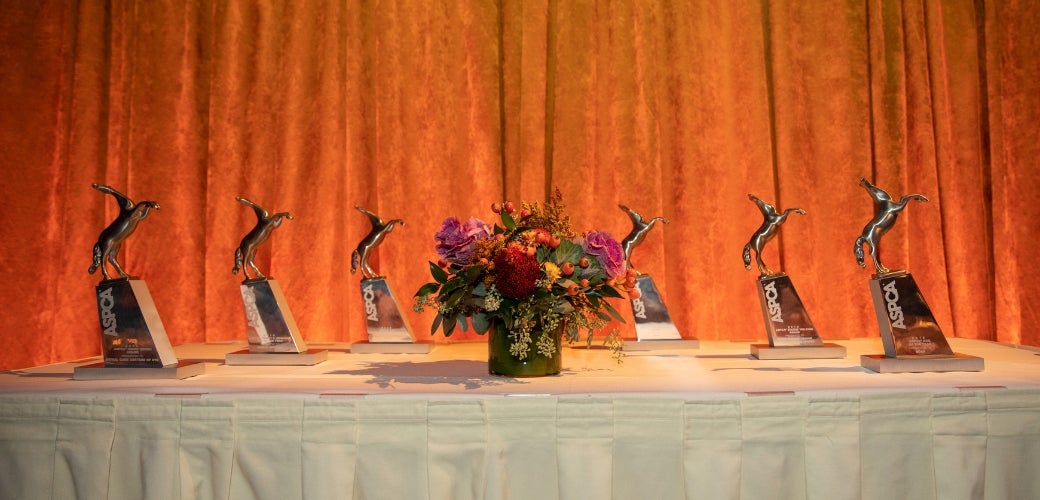 Trophies and flowers on a table