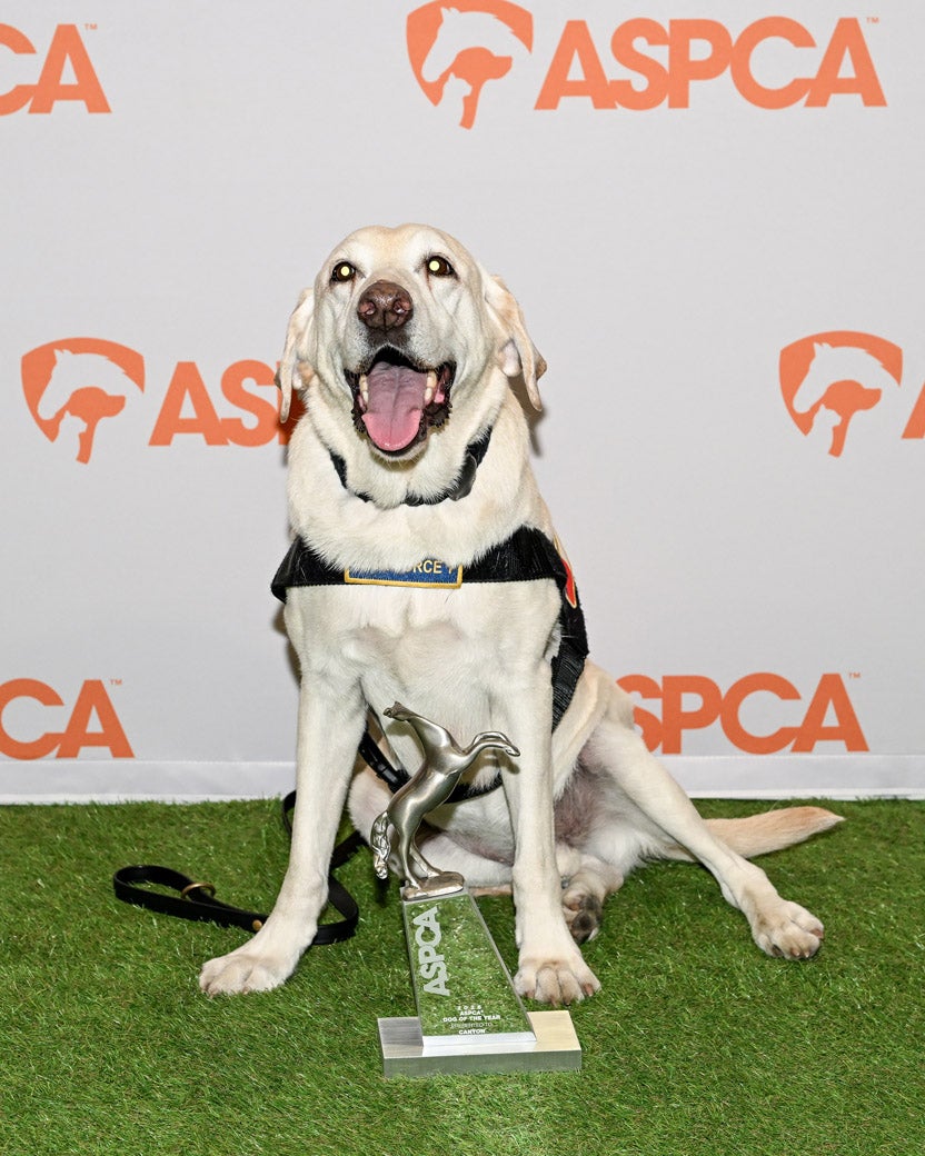 2026 ASPCA Humane Award Winner