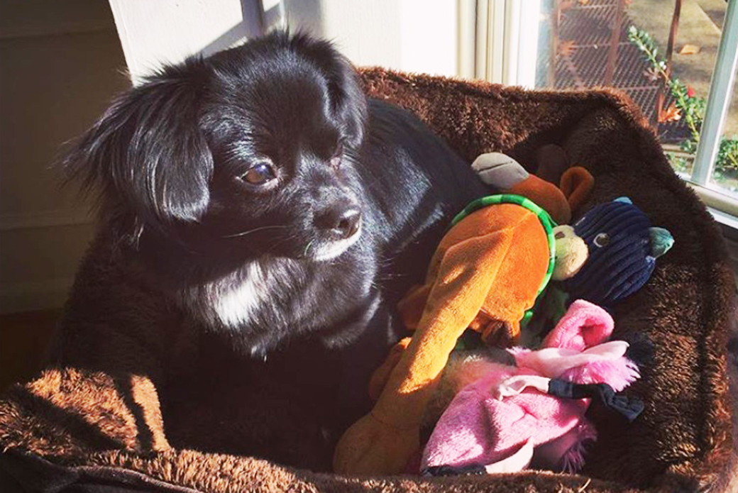 Dolly lying with her toys