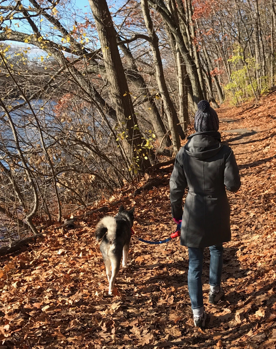 Loki walking in the woods with Laura