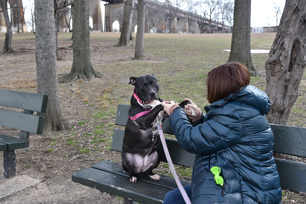 ursula sitting on a bench