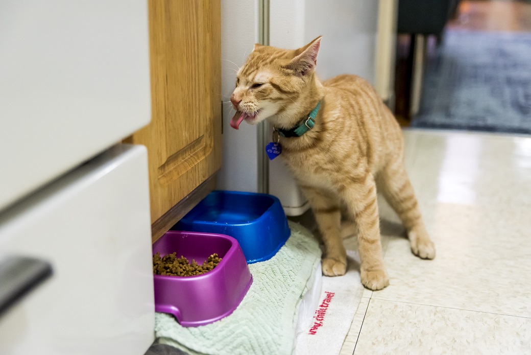 Federico drinking water