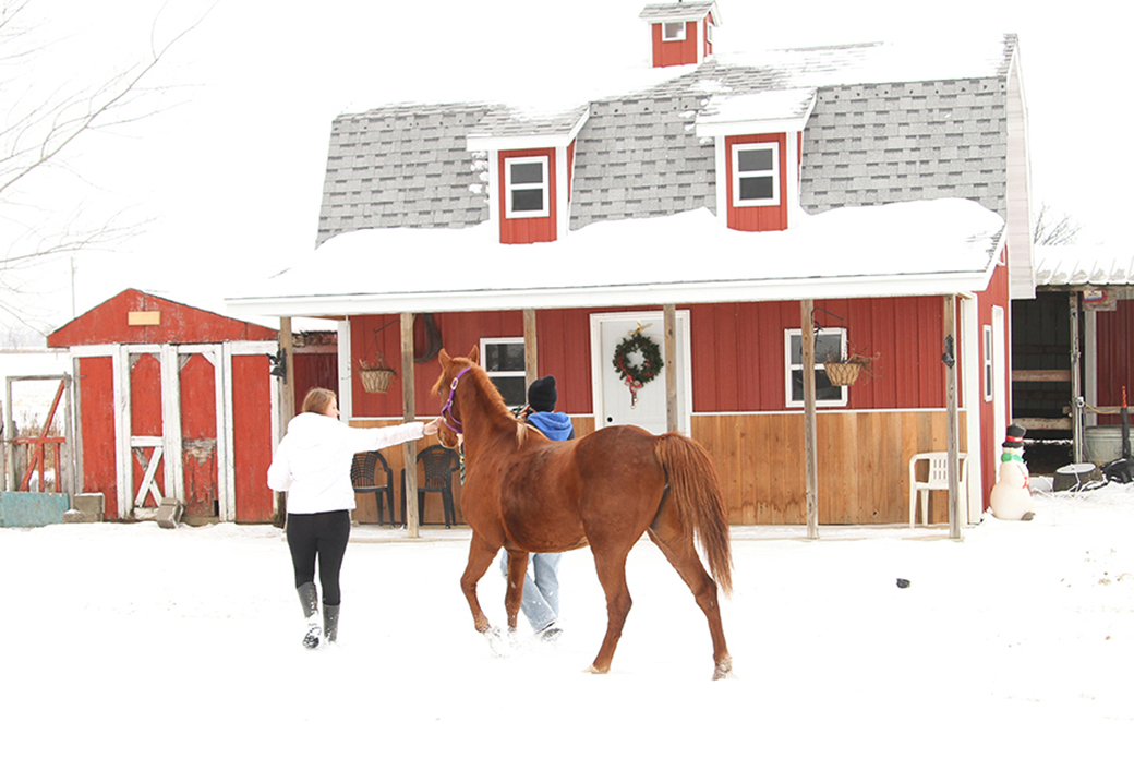 Jessy and Jenny walk Rose to her Stall