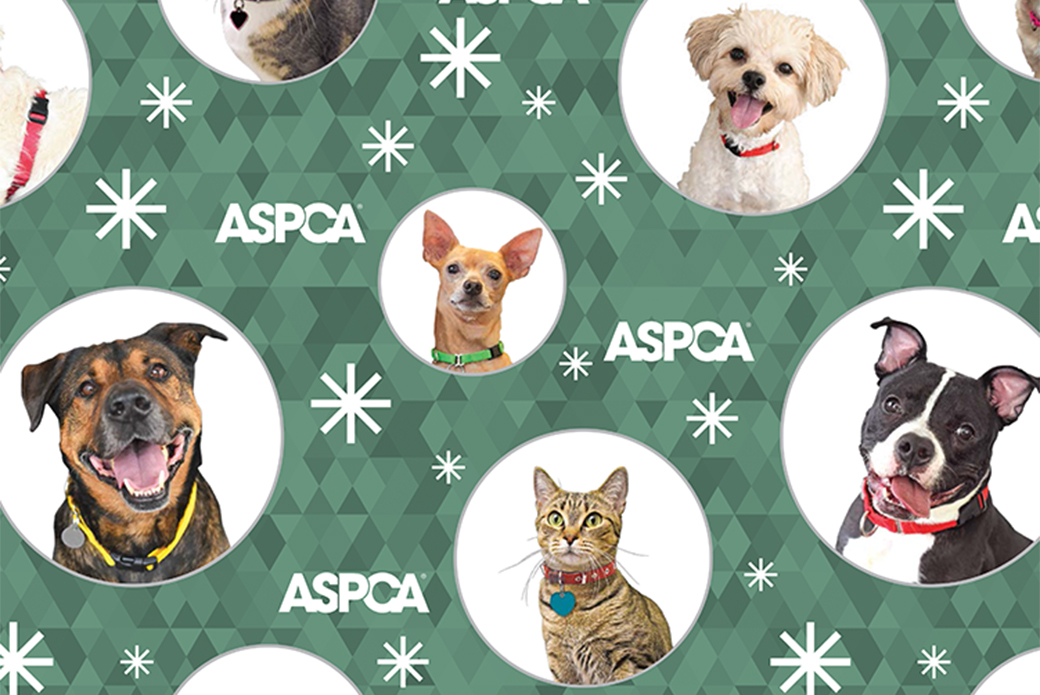 This year’s ASPCA wrapping paper, featuring Frank