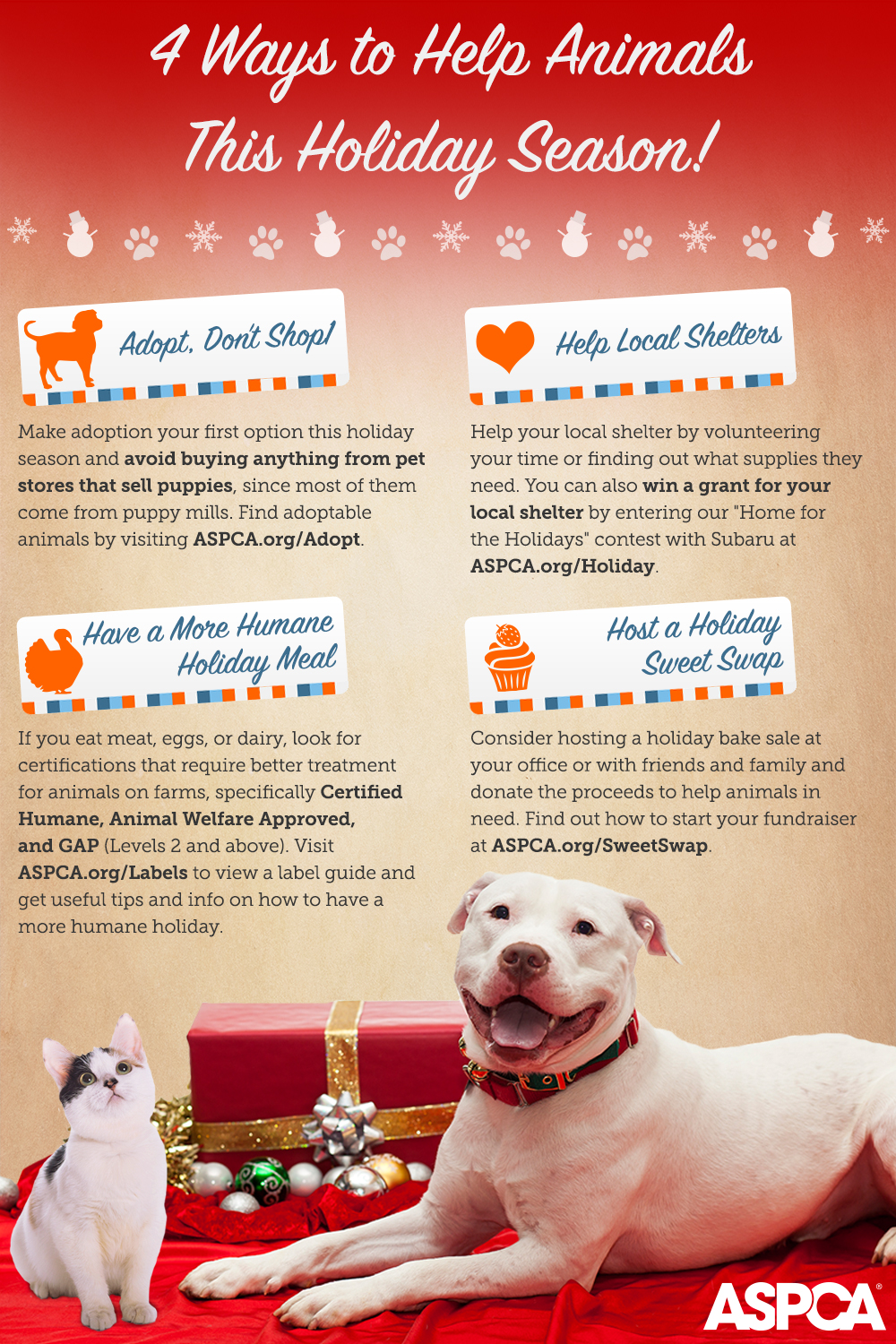 You Can Make a Difference This Holiday Season! Here are Four Ways to Help Animals