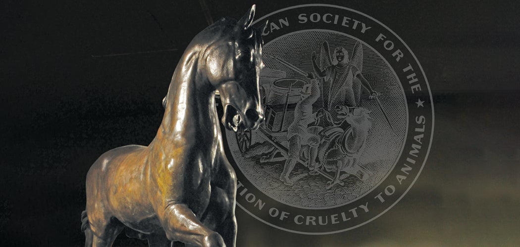 ASPCA seal of angel watching over carriage horse and bronze statue of horse