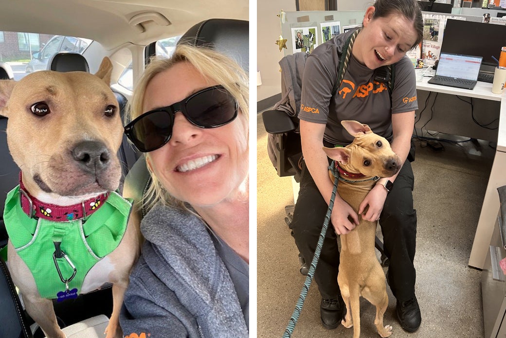 Left Honey selfie in car with staff member, Right Honey hugging staff member in office