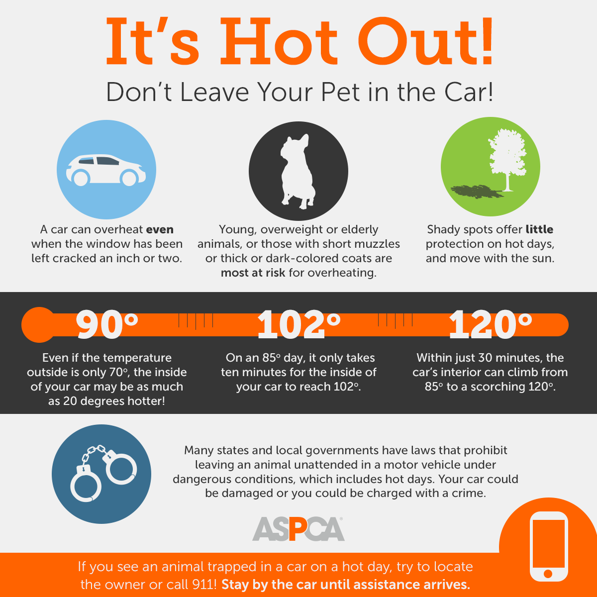 hot car infographic