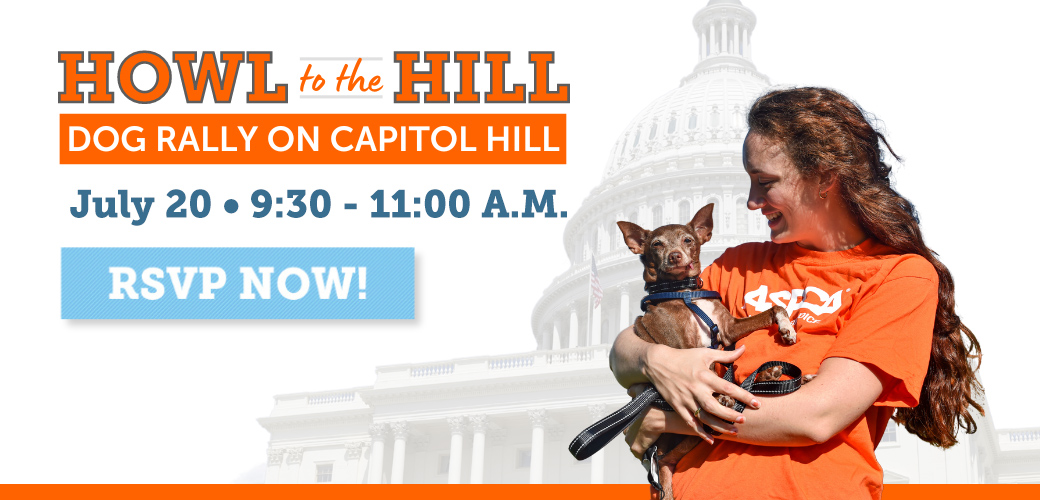 Picture insert of a woman holding a dog in front of an illustrationin of the Capital with the messaging HOWL to the HILL DOG RALLY ON CAPITOL HILL, Thursday July 20, 2023 9:30 A.M. - 11:00 A.M. ET RSVP NOW!