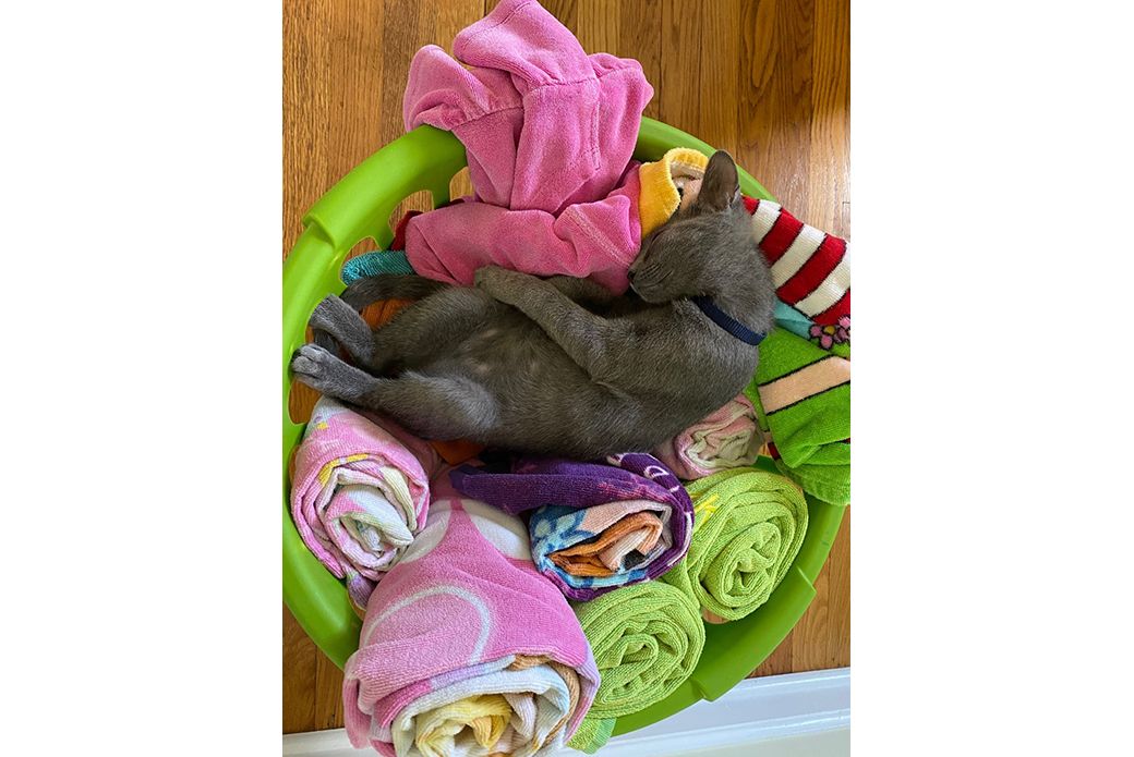 Aurora in a clothes basket