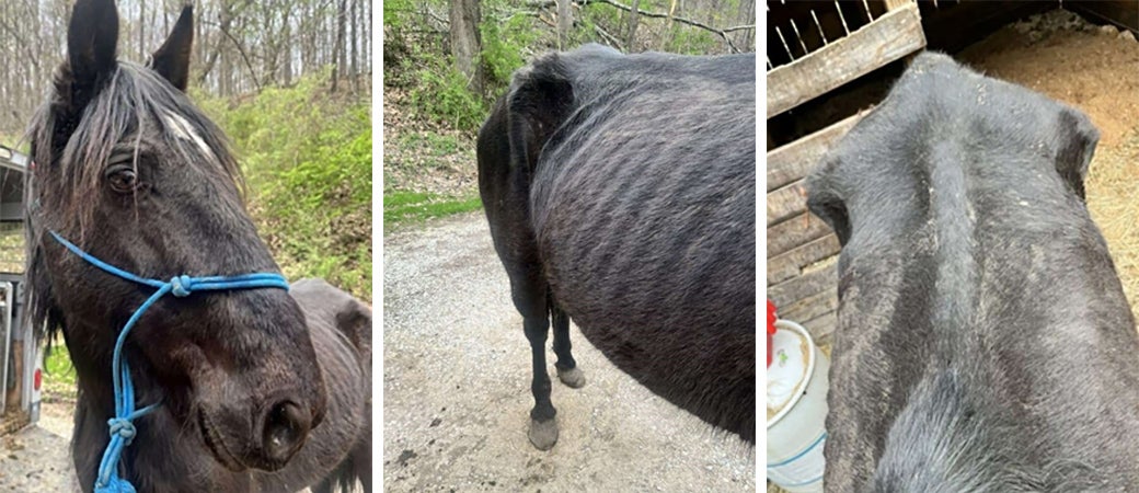 Burke when he was rescued