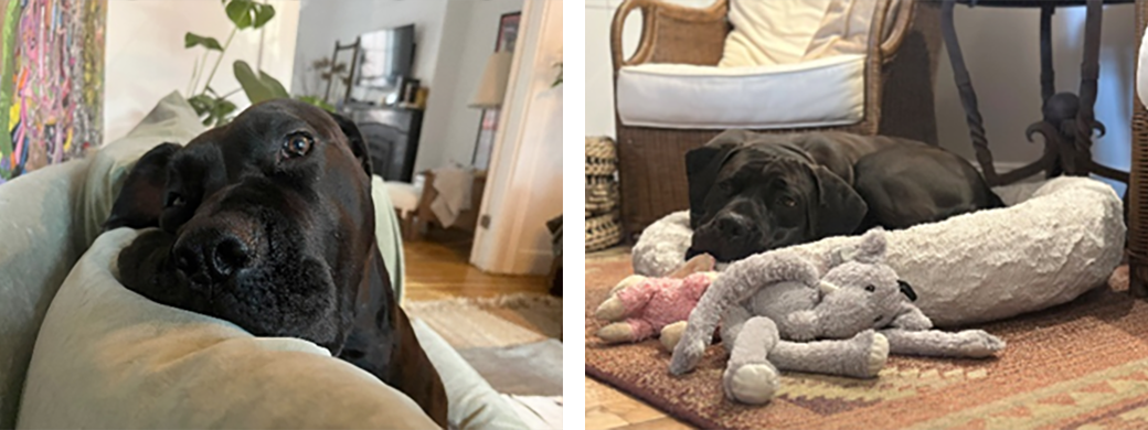 Cabrera at his new home